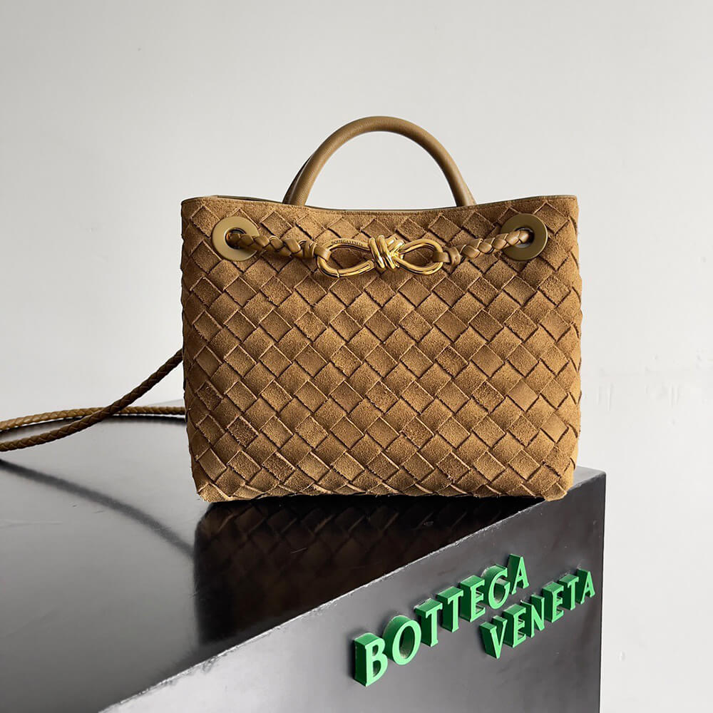 Bottega Veneta Small Andiamo